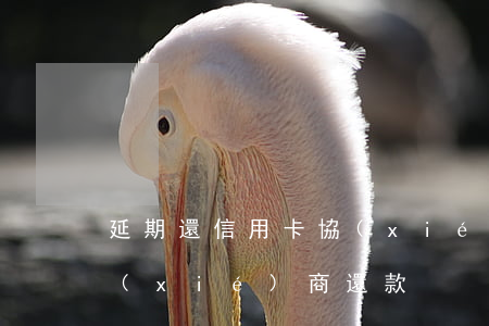 延期還信用卡協(xié)商(行用卡逾期協(xié)商還款)