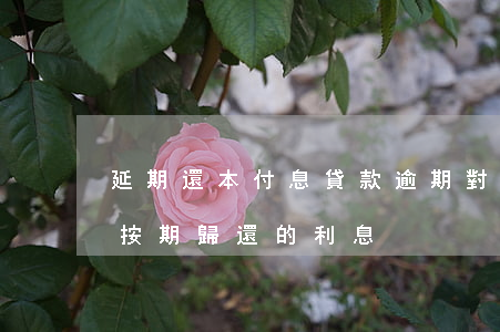 延期還本付息貸款逾期(對貸款逾期期間不能按期歸還的利息)