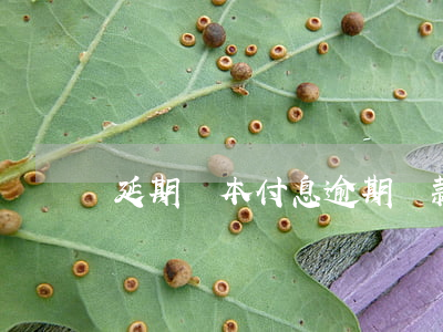 延期還本付息逾期貸款(利息逾期還能貸款嗎)
