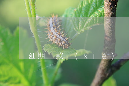 延期還款協(xié)議書