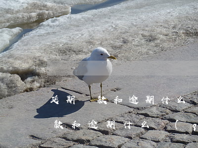 延期還款和逾期什么區(qū)別-延期還款和逾期什么區(qū)別啊