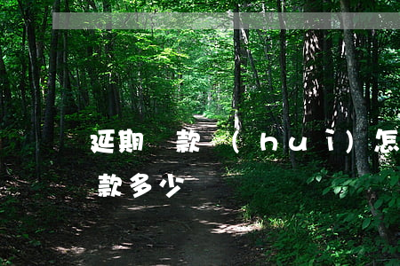 延期還款會(huì)怎么樣（逾期做延期還款多少錢）