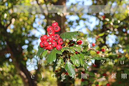 延期還款能再轉(zhuǎn)化成個(gè)性化分期嗎-延期還款能再轉(zhuǎn)化成個(gè)性化分期嗎