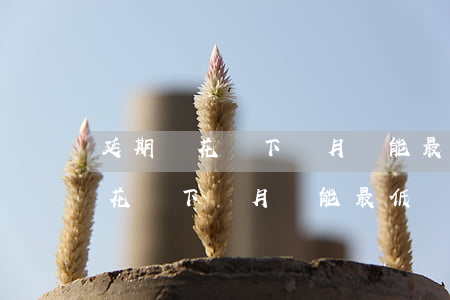 延期還花唄下個月還能最低還款嗎-延期還花唄下個月還能最低還款嗎