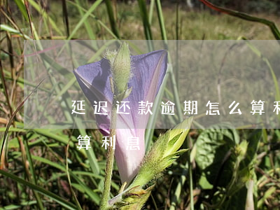 延迟还款逾期怎么算利息(延迟还款逾期怎么算利息)