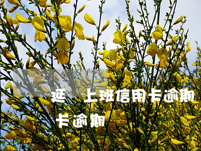延遲上班信用卡逾期(節(jié)假日信用卡逾期)