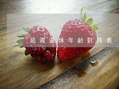 延遲退休年齡對照表