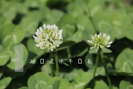 延遲退休年齡表