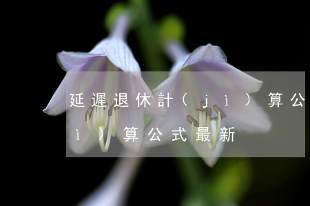 延遲退休計(jì)算公式(延遲退休計(jì)算公式最新)