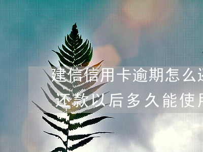 建信信用卡逾期怎么还款(建行的信用卡逾期还款以后多久能使用)