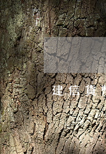 建信貨幣基金好嗎