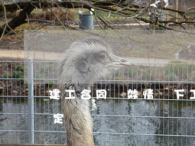 建工合同無效情況下工程價款結算依據的確定