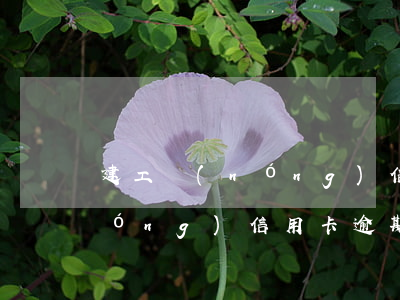 建工農(nóng)信用卡逾期 建工農(nóng)信用卡逾期