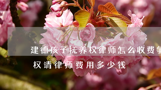 建德孩子抚养权律师怎么收费(争取孩子抚养权请律师费用多少钱)