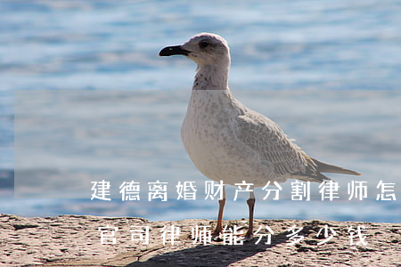 建德离婚财产分割律师怎么收费(打离婚财产官司,律师能分多少钱)
