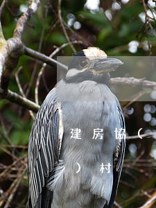 建房協(xié)議書怎么寫農(nóng)村