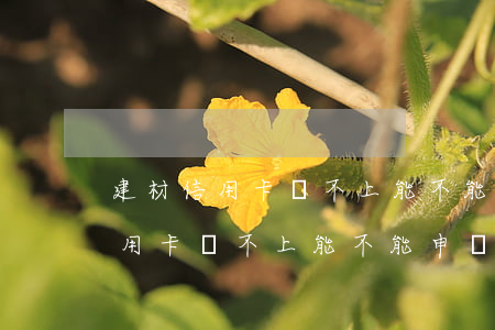 建材信用卡還不上能不能申請分期-建材信用卡還不上能不能申請分期付款