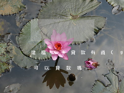 建檔立卡貸款有過(guò)逾期(建檔立卡可以貸款嗎)