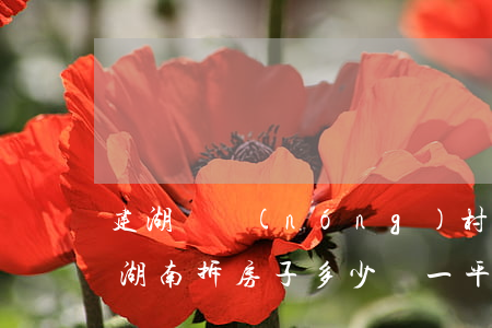 建湖縣農(nóng)村拆房一平方多少錢(湖南拆房子多少錢一平方)