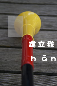 建立我國(guó)個(gè)人破產(chǎn)制度問題研究