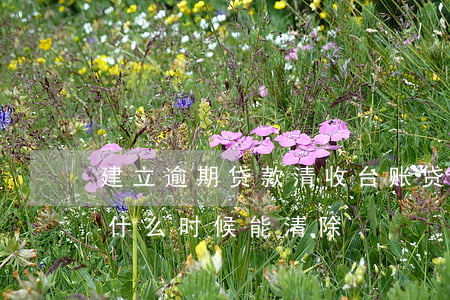 建立逾期贷款清收台账(贷款已结清逾期记录什么时候能清除)