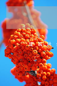 建筑什么是工程合同糾紛