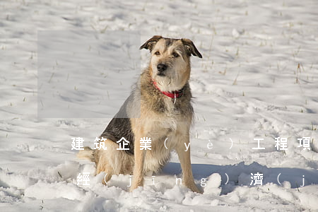 建筑企業(yè)工程項(xiàng)目經(jīng)濟(jì)效益審計(jì)重點(diǎn)是什么