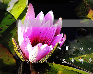 建筑作品版權(quán)使用期限的規(guī)定有哪些