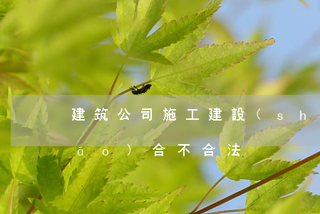建筑公司施工建設(shè)不投標(biāo)合不合法