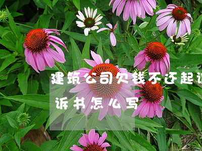 建筑公司欠钱不还起诉(建筑公司欠钱不还起诉书怎么写)