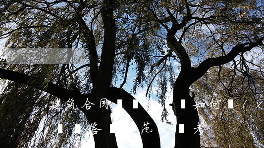 建筑合同糾紛答辯狀如何寫(xiě)(合同糾紛答辯狀(范文參考))
