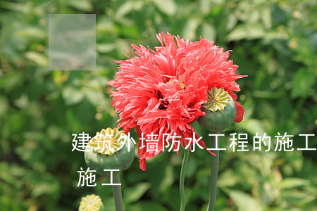 建筑外墙防水工程的施工要求（防水找平层的施工）