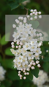 建筑安全生產(chǎn)的法律法規(guī)有哪些(我國建設(shè)工程安全生產(chǎn)的法律和行政法規(guī)有哪些)