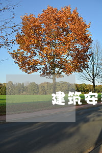 建筑安装工程投标书