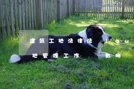 建筑工地法律法規(guī)臺賬(建筑工地管理工作臺帳有哪幾項及內容)