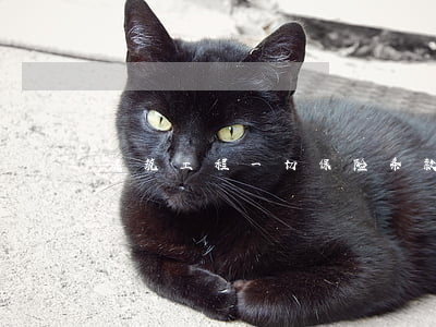 建筑工程一切保险条款