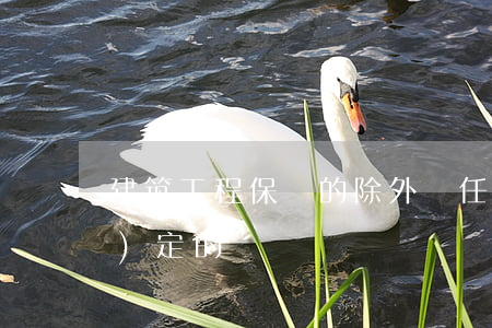 建筑工程保險的除外責任是如何規(guī)定的