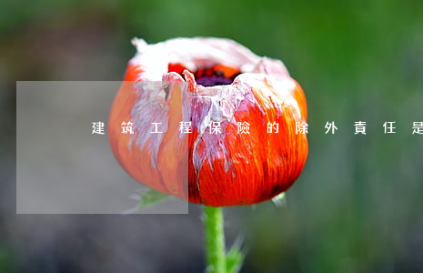 建筑工程保險的除外責任是如何規定的