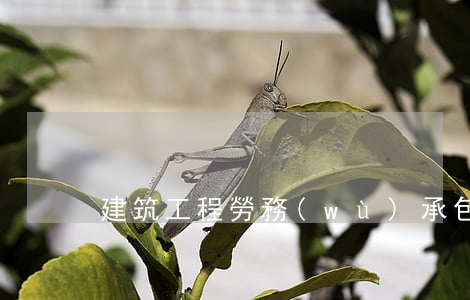 建筑工程勞務(wù)承包合同