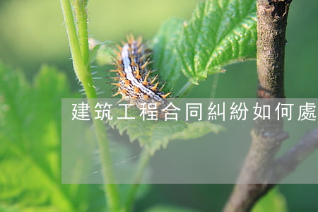 建筑工程合同糾紛如何處理