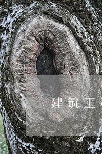 建筑工程合同糾紛案例分析