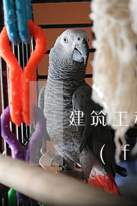 建筑工程實(shí)行招標(biāo)發(fā)包的發(fā)包單位應(yīng)當(dāng)將建筑工程發(fā)包給誰