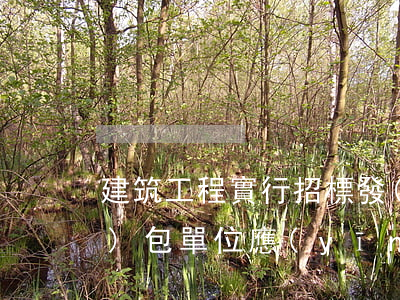 建筑工程實行招標發(fā)包的發(fā)包單位應(yīng)當將建筑工程發(fā)包給誰