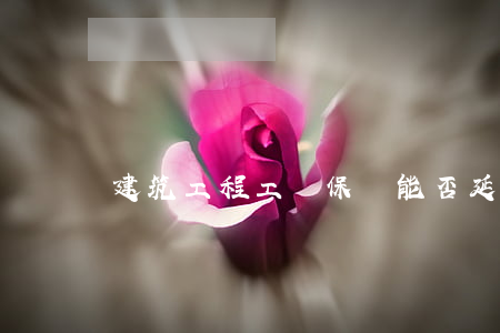 建筑工程工傷保險能否延期申請
