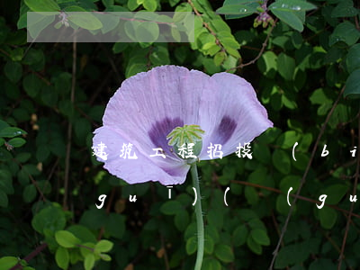 建筑工程招投標(biāo)的法律法規(guī)(關(guān)于招投標(biāo)法的法律法規(guī))