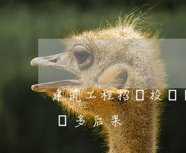建筑工程招標投標過程中行政干預(yù)過多后果