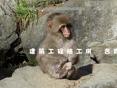 建筑工程施工供貨合同