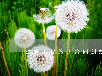 建筑工程施工合同糾紛有哪些