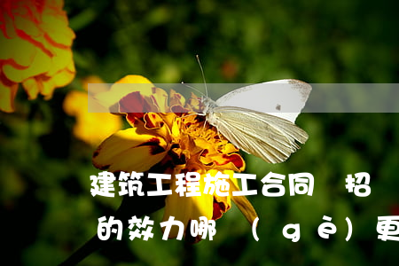 建筑工程施工合同與招標(biāo)文件的效力哪個(gè)更大些