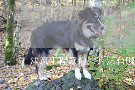 建筑工程款追討方法有哪些